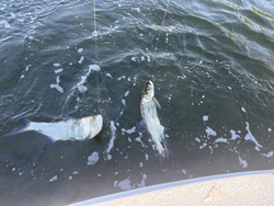 Fishermen's paradise found in Key Largo!